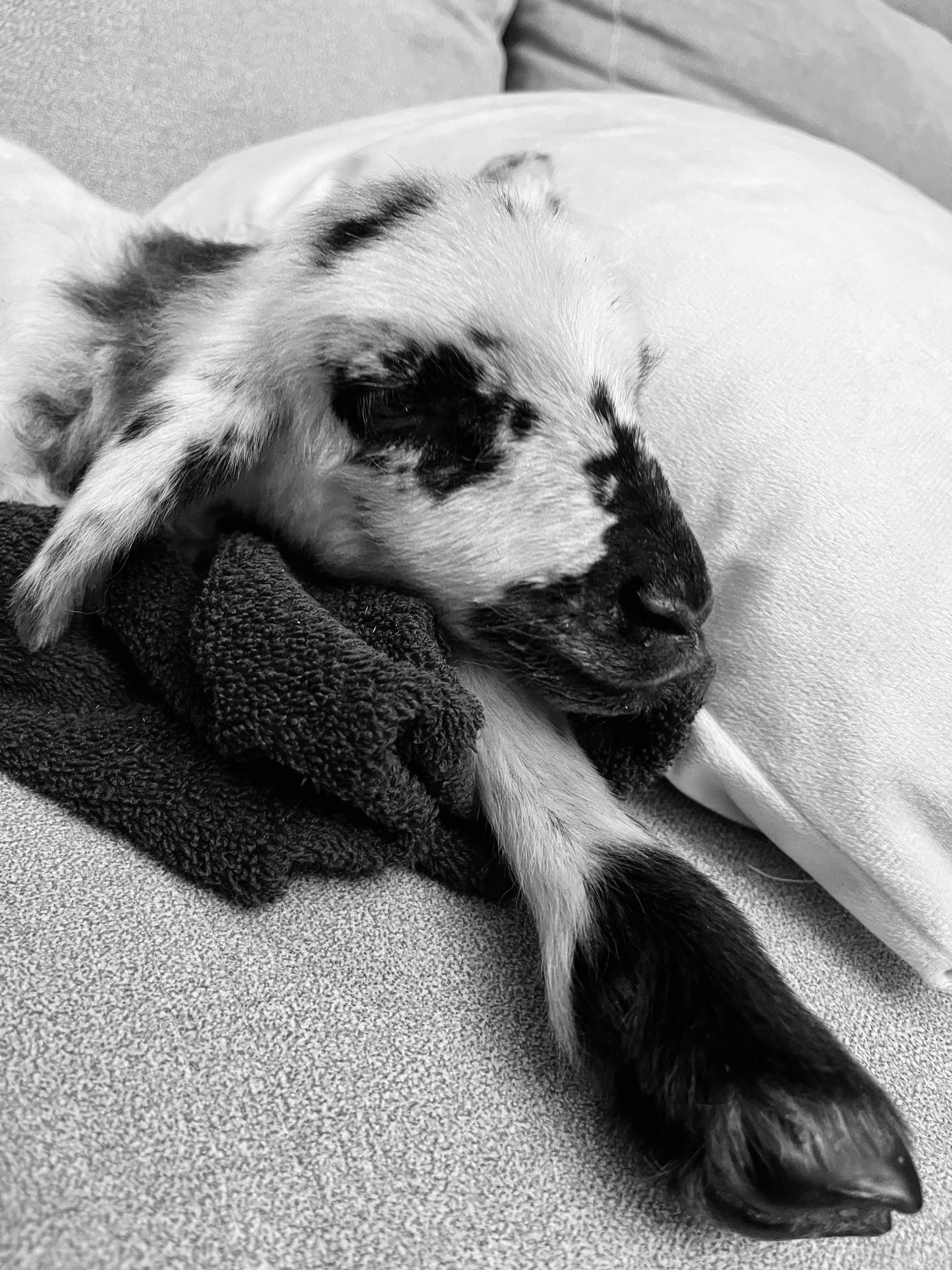 WhatsApp Image 2026-03-19 at 18.16.21